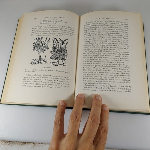 Green Enchantment Rosetta E. Clarkson 1940 Macmillan 1st Printing Illustrated HC - Picture 11 of 14