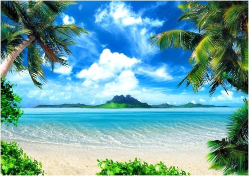 10x8ft Hawaii Beach Backdrop for Tropical Luau Party & Wedding Decor - Picture 4 of 8