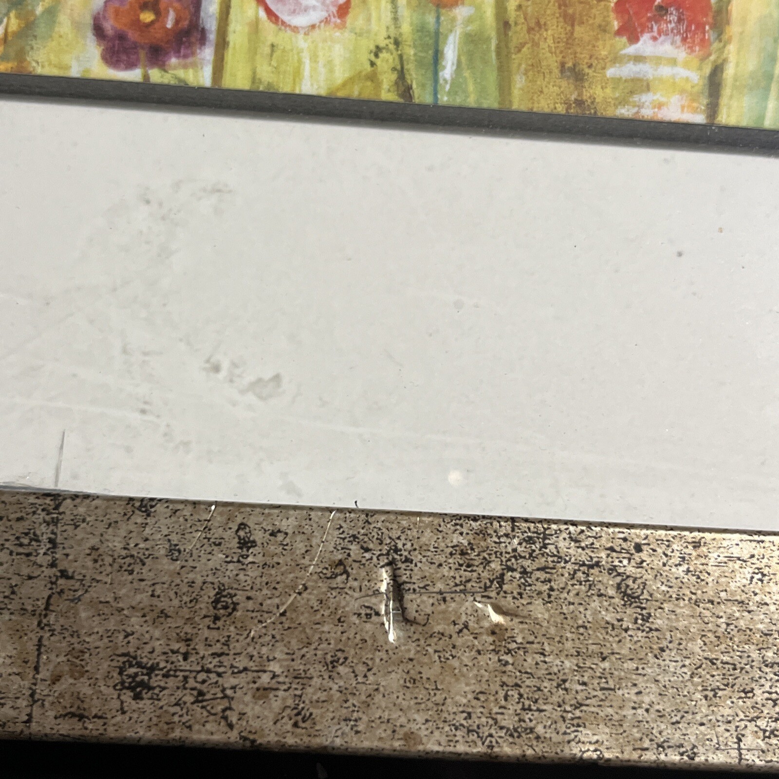 Picture 9 of 10