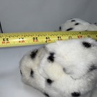 Foto 14 di 15