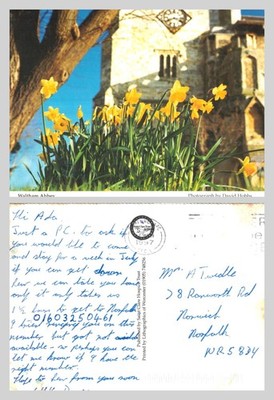 Postcard - Waltham Abbey Church Daffodils Essex Modern Era POSTED