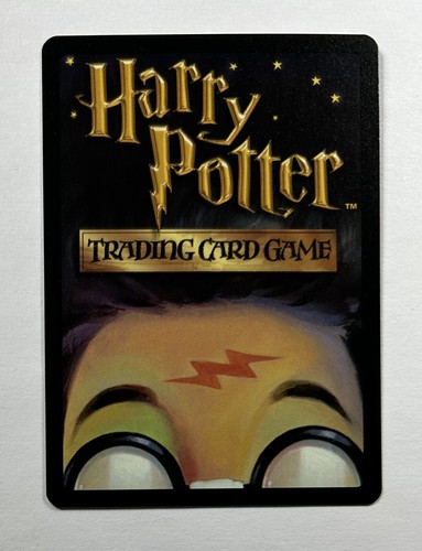 HARRY POTTER ADVENTURES AT HOGWARTS TCG CCG Flying Practice 38/80 Unplayed - Picture 2 of 2