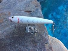 8" MAGNUM PUPFISH TopWater SWIMBAIT Lure In GREAT WHITESHORE COLOR!!!