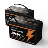 LiFePO4 Battery 12V 100Ah 1280Wh 100A BMS 2 Pack LFP100-12 Rechargeable GRNOE