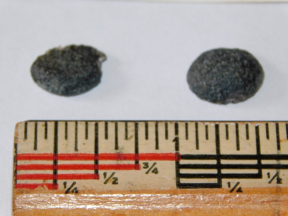 Rare Copper Replacement Agate Keweenaw Peninsula Michigan Copper