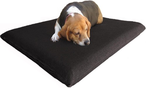 Pequeña cama de lona negra para mascotas perros ortopédica impermeable espuma viscoelástica 35x20x4 - Imagen 13 de 13