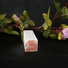 Bild 6 von 10