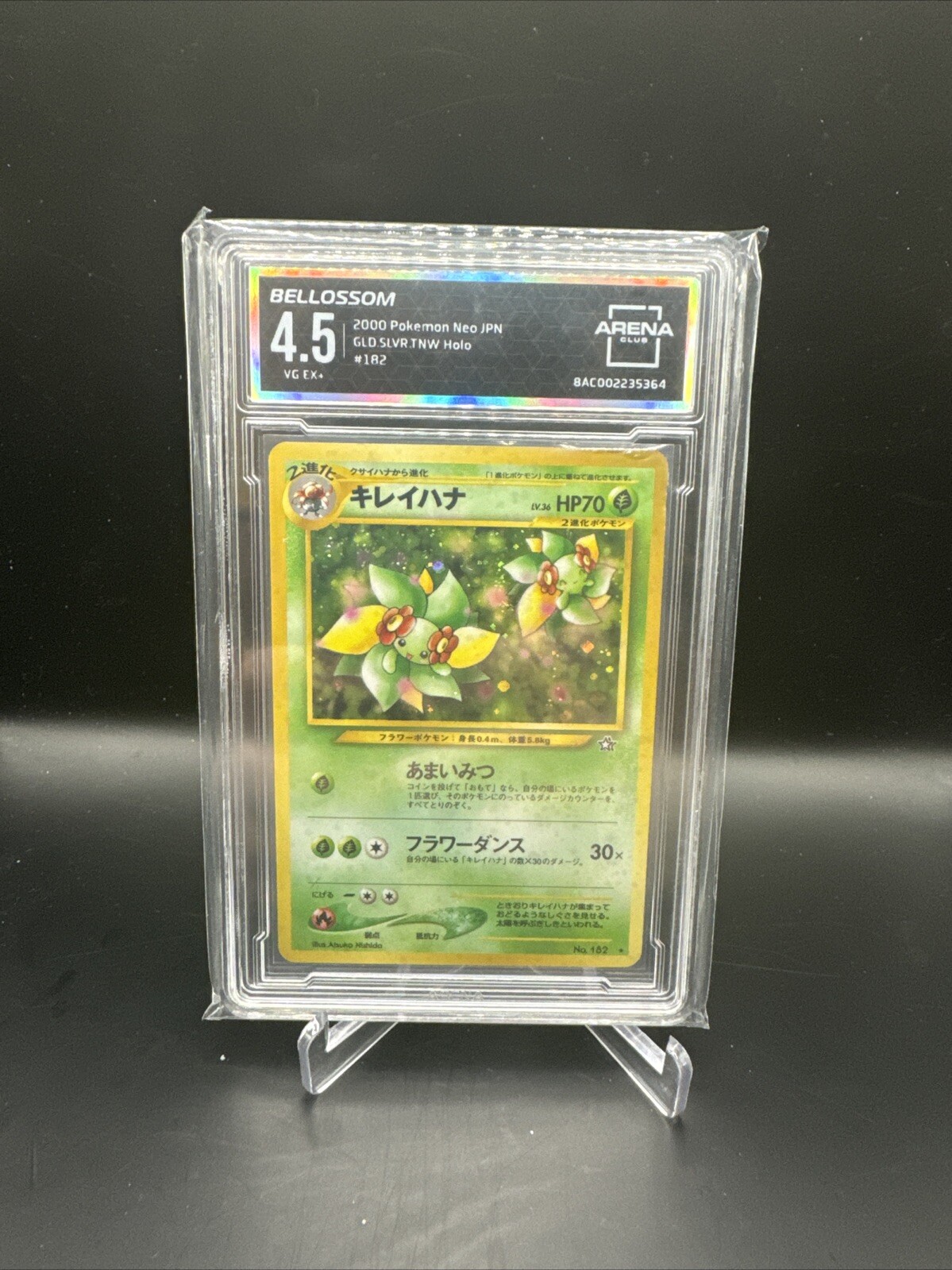 Foto 1 di 5