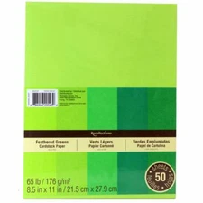 Recollections Feathered Green Cardstock Paper 8.5" X 11" Value Pack - 50 Sheets