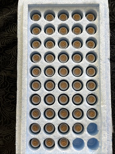 LEMO USA  ECG.2B.318.CLL Circular Connector Receptac Lot Of 48 Pc's - Picture 5 of 6