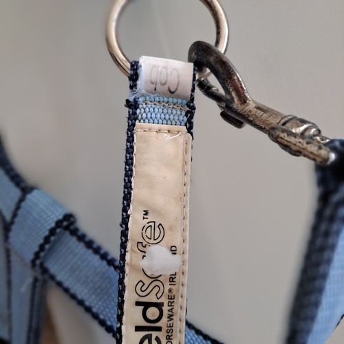 FIeld Safe headcollar cob blue - Picture 4 of 5