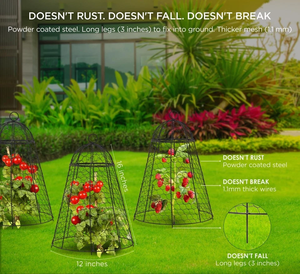 Pack of 6 Extra Large Rustproof Garden Cloches, 12'' x 20'' for Plant Protection - Image 4 of 4