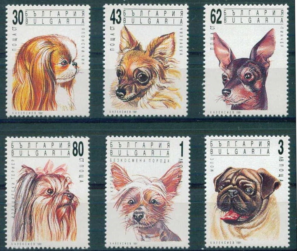 Foto 1 di 1