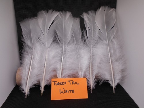 Fly Tying Feathers - Duck Quills, Turkey Quills, Turkey Tails & More - Picture 32 of 32
