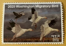 2025  Washington State Duck Stamp Mint Never Hinged. Original Gum 