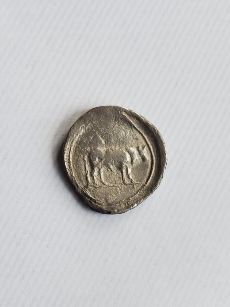 Poseidonia Paestum Silver Ancient Greek Stater coin Lucania 470