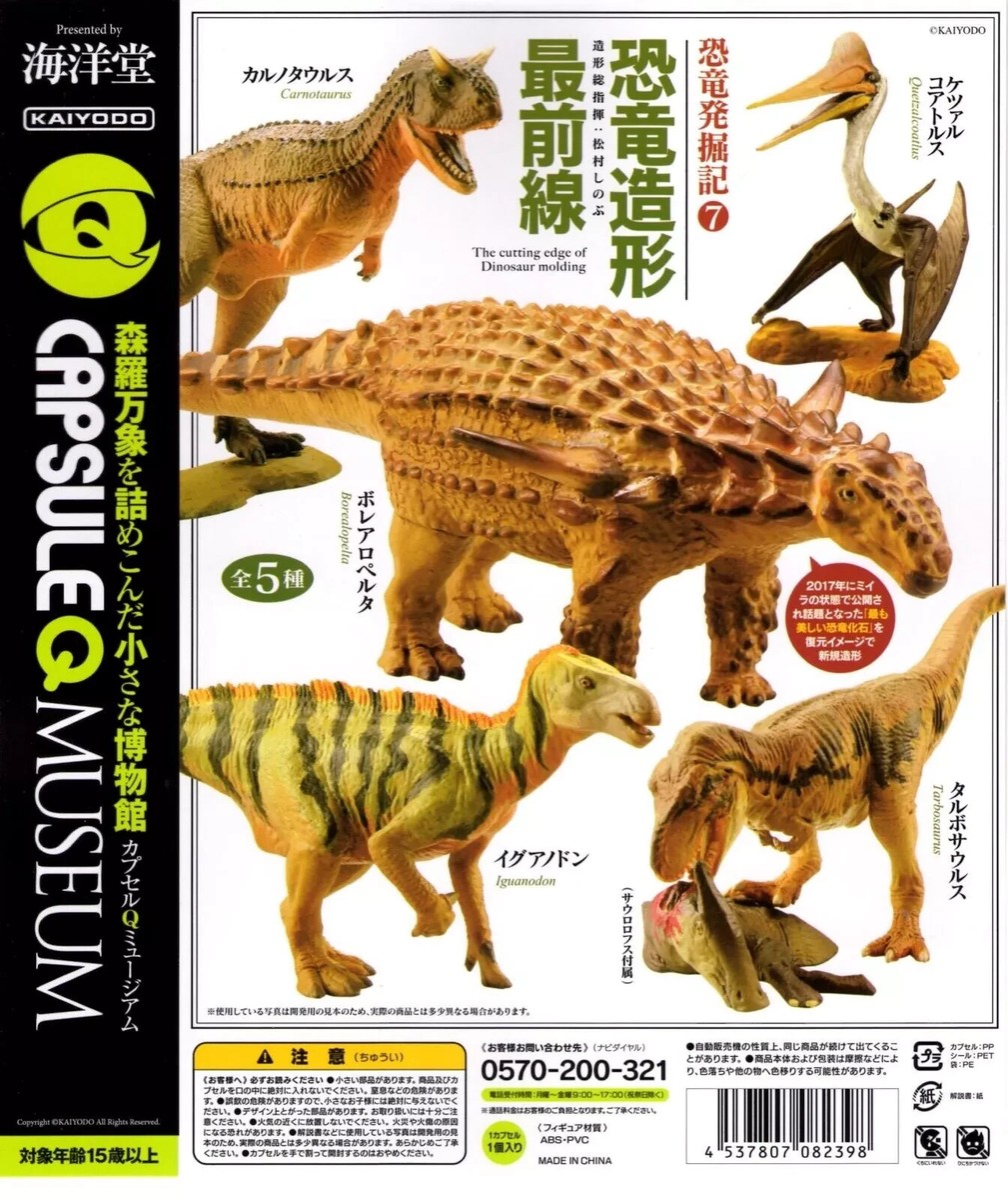 Dinosaur Cove Collection 全20巻セット　洋書　多読 Dinosaur Cove Collection 全20巻セット 洋書 多読 Dinosaur