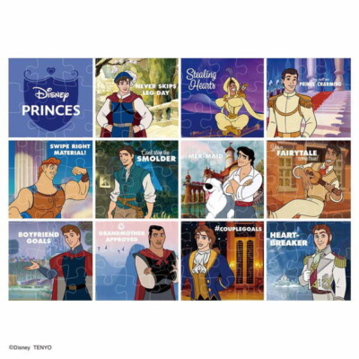D108-057 Disney Prince Jigsaw Puzzle 108 Pieces Princes Tenyo | eBay