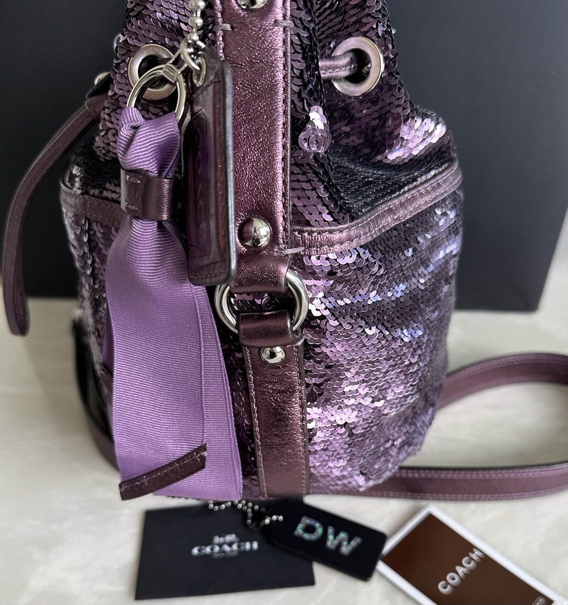 COACH POPPY SPECIAL EDITION SEQUINS AMETHYST CINCH DRAWSTRING