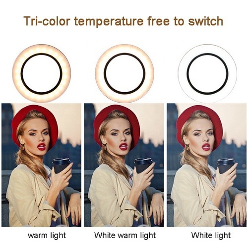 10.''LED Ring Licht Handy Halter Tragbar Foto Selfie Make-up Stativ Ständer - Bild 5 von 9