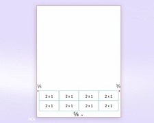 Patient ID Integrated Labels Medication Labels, 8 per Sheet, size 2"x1" each 250