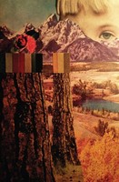 Sara June Woods | Careful Mountain | Taschenbuch | Englisch (2016) | Sara Woods