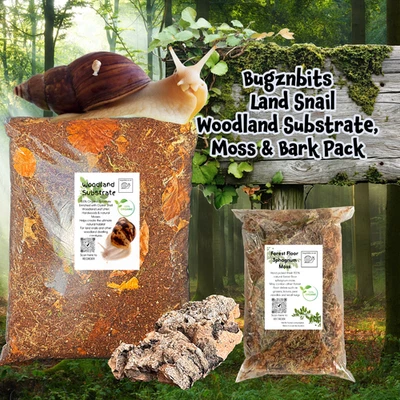 Bugznbits Organic Woodland Land Snail Substrate, Moss, and Bark Set Up Pack