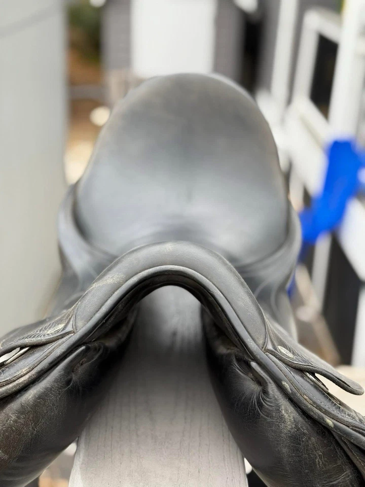 17,5” Amerigo Cortina +1 y solapa corta Foto 3 de 4