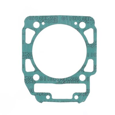 Guarnizione Flangiata Polaris RZR Con Elica – Ricambio Originale OEM 5412881 – 29 X 44 X 10 Mm Per Ranger E Sportsman