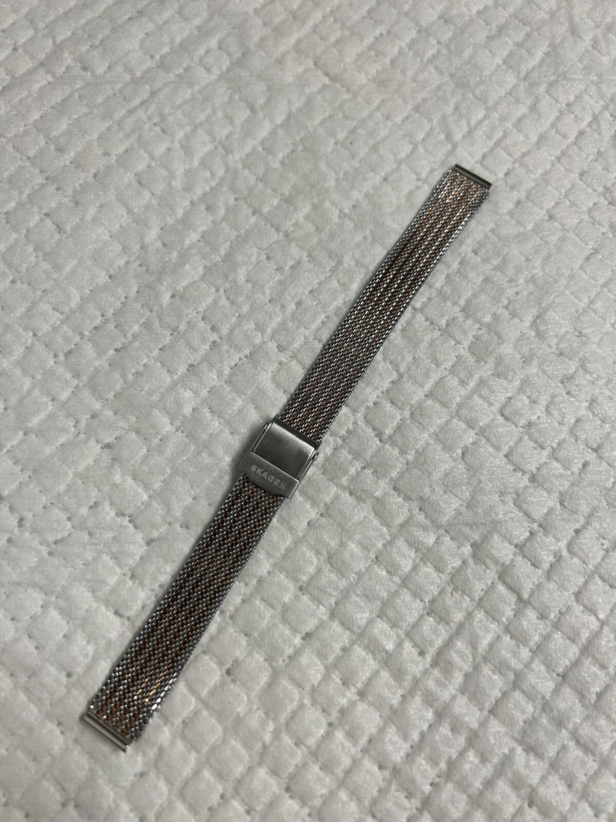 Orologi da polso Skagen in acciaio inossidabile