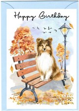 Shetland Sheepdog / Sheltie Dog (4"x 6") Birthday Card blank inside - Starprint