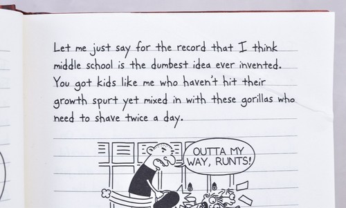Menge 9 Tagebuch eines Wimpy Kid Hardcover 1-3, 5, 6, 10, 11, 15, 17 Jeff Kinney - Bild 14 von 15