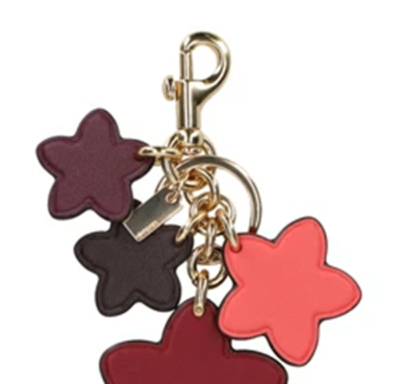 キーホルダー・キーリング COACH KEY FOB Wildflower 5136 Coach Key chain KEY FOB Wildflower 5136 IMW7O IM Oxblood
