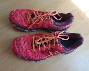 asics dynamic duomax mens