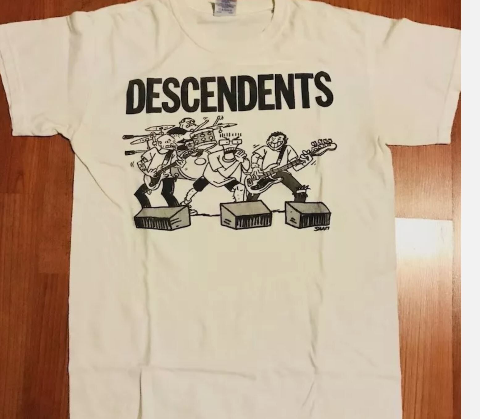 Descendents band t-shirt, punk rock band shirt, natural color, new shirt