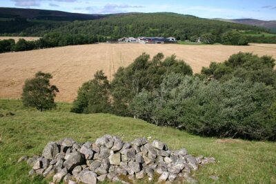 Photo 6x4 Mains of Dalvey Advie Looking north from the Speyside Way towar c2007