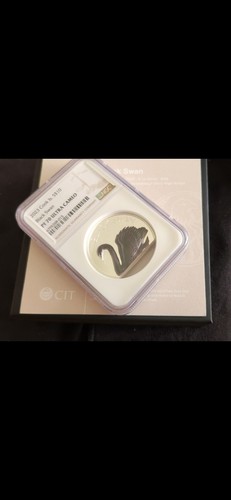 2023 Cook Islands $10 Black Swan 2oz Black Proof Silver High Relief NGC PF70 OGP - Picture 11 of 11