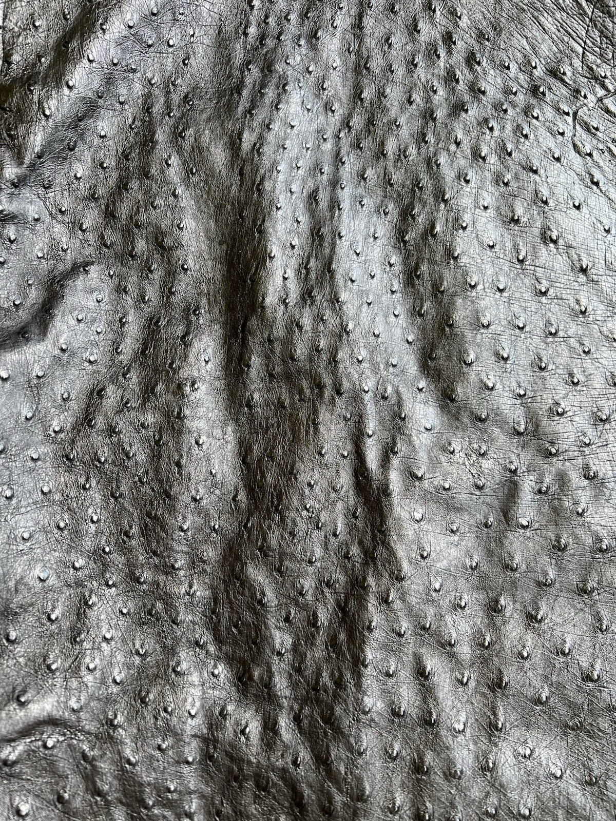 Picture 5 of 8