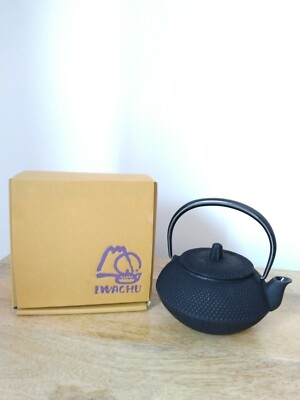 Iwachu Nambu Ironware Teapot - 0.65L (1.2 Gal) Chrysanthemum Pattern, Silver/Sky Blue, Enameled Interior