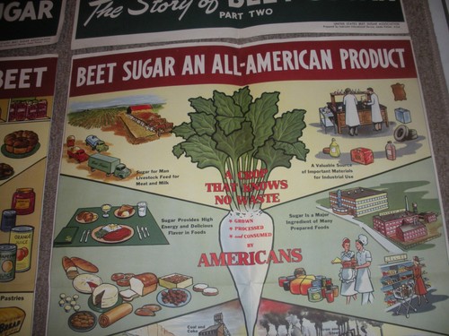 Rare Vintage 1950's? Extracting STORY Beet Sugar food Factory COMPLETE SET OF 4 - Picture 12 of 21