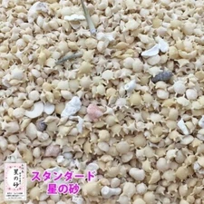 Star Sand 100g Ishigaki Island Okinawa Sand Pack Coral Sand Art Decoration Japan
