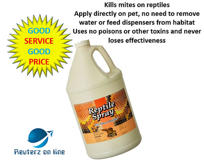 natural chemistry reptile mite spray