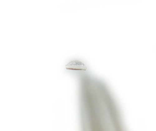 935 Argentium Silver wire Dead Soft Half Round 6 8 10 12 14 16 18 20 21 22 Gauge - Picture 18 of 22
