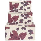 Thornback and Peel Nesting Cake Tins Blackbird and Bramble Set of 3 Square