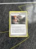 Buck's Training 130/146 - Legends Awakened - Uncommon - Pokemon Card TCG - D2