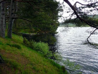 Foto 6x4 Von Bäumen gesäumtes Ufer von Loch Arklet Inveruglas The Loch Arklet wate c2009