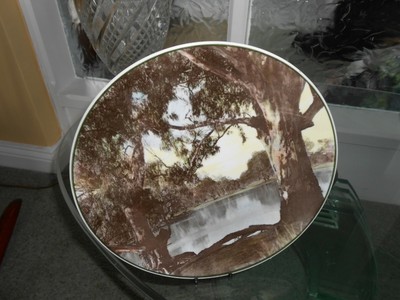 Royal Doulton Murray River T C 1061 10,5 Zoll sehr guter Zustand