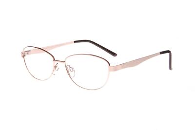 NEW ENVY EYEWEAR Gold CAROL Eyeglasses 53mm with Case | eBay display picture 3