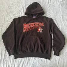 Y2K Champion Rochester Institute of Technology RIT Tigers Hoodie Brown L *READ