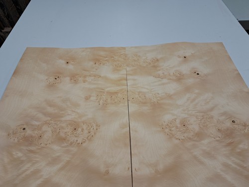 Burr Sycamore Veneer - 2 NATURAL WOOD Sheets - 880mm x 350mm - Picture 2 of 6